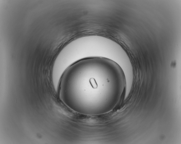 X0000090430412200707272136