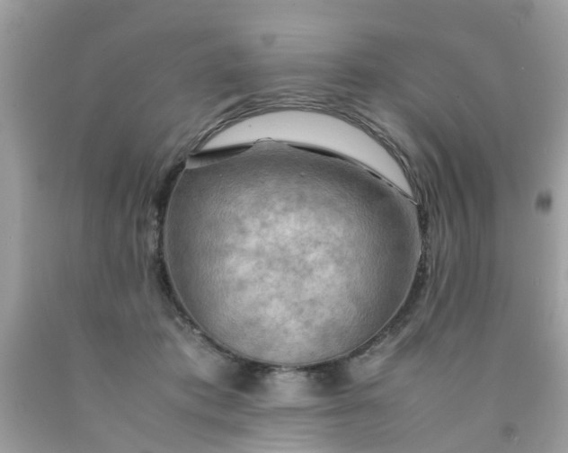 X0000090430413200707272136