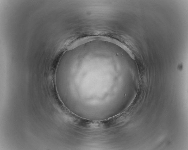 X0000090430415200707272136