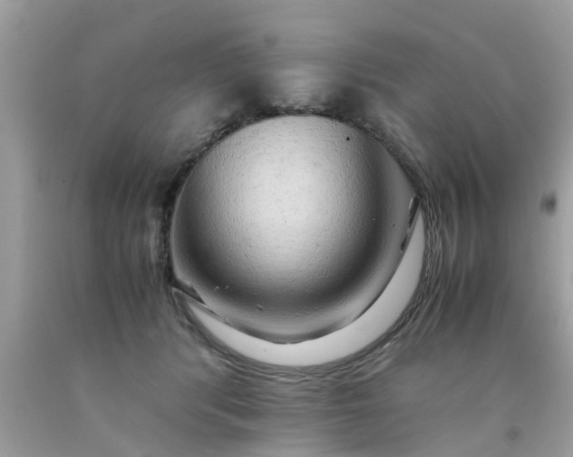 X0000090430416200707272135