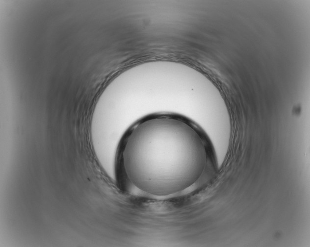 X0000090430417200707272135