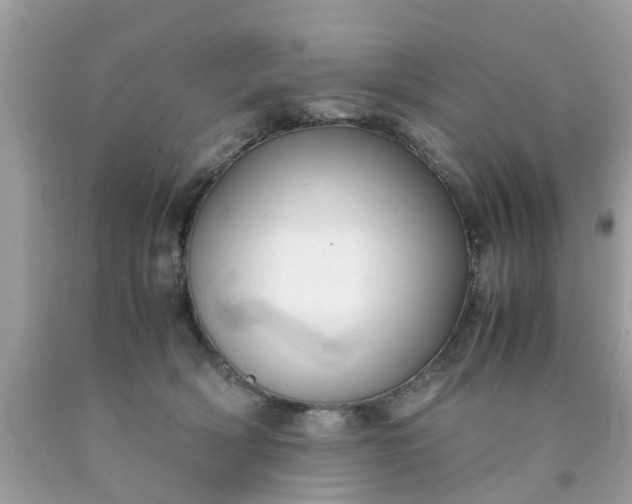 X0000090430418200707272135