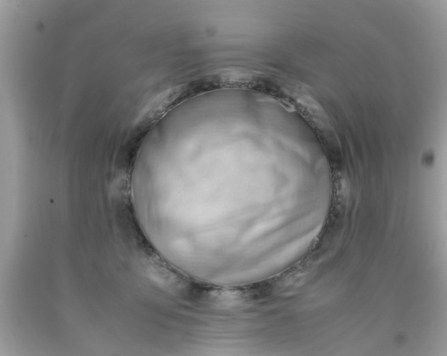 X0000090430419200707272135