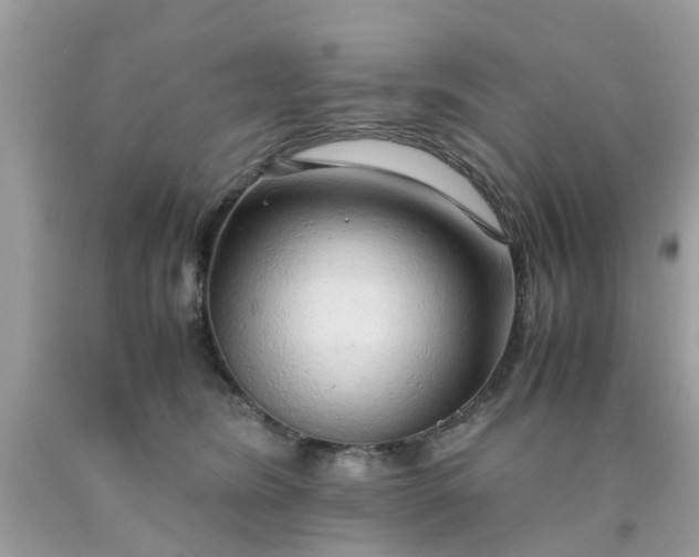 X0000090430420200707272135