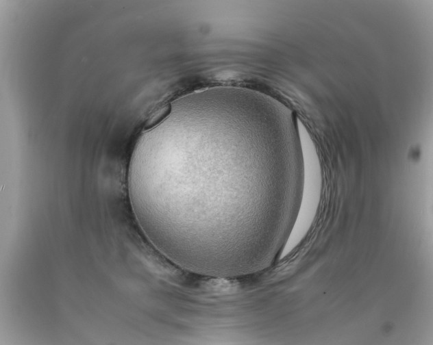 X0000090430421200707272135