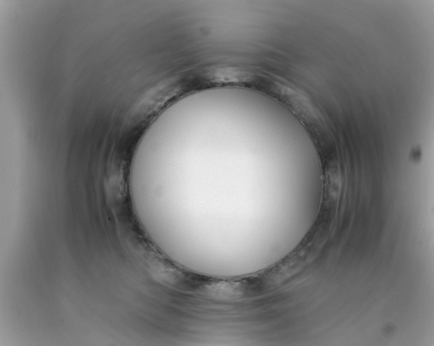 X0000090430422200707272135