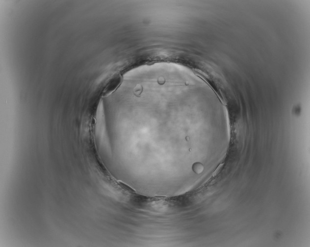 X0000090430423200707272135