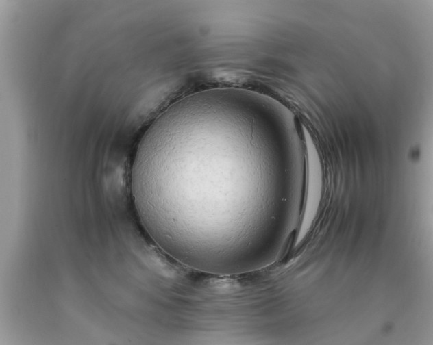 X0000090430424200707272135