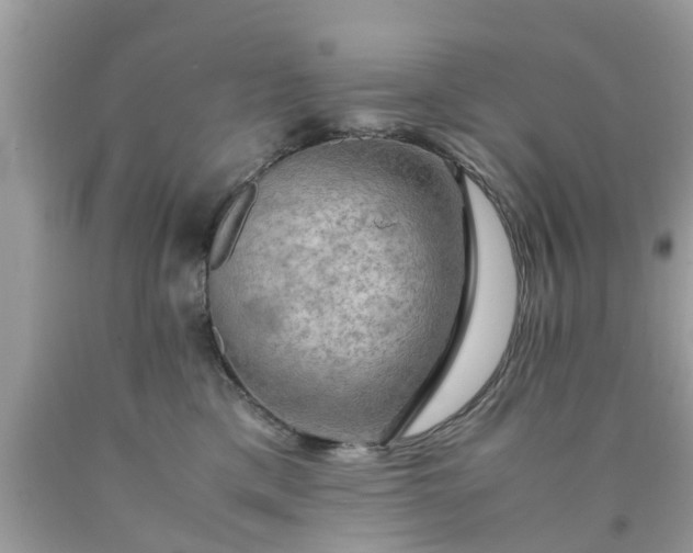 X0000090430425200707272135