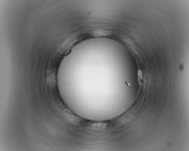 X0000090430426200707272135