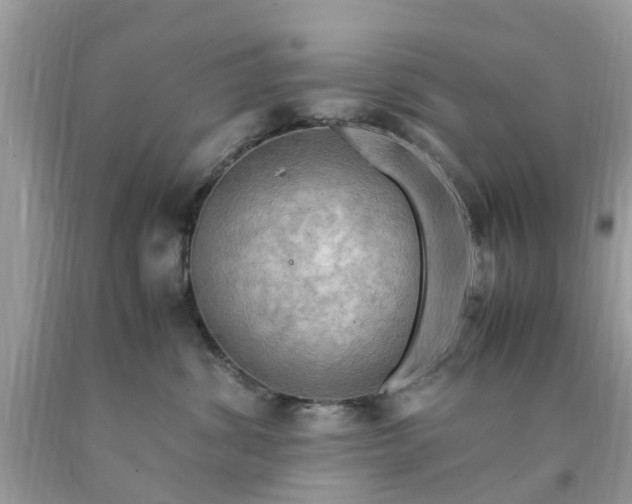 X0000090430428200707272135