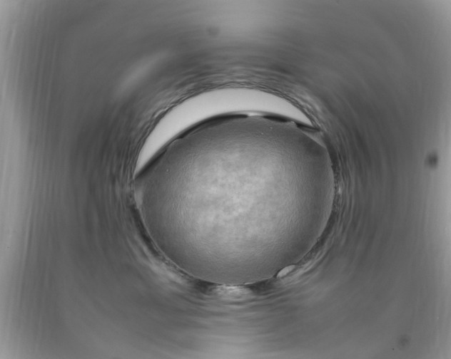 X0000090430429200707272135