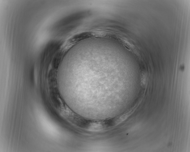 X0000090430431200707272135