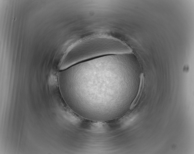 X0000090430432200707272135