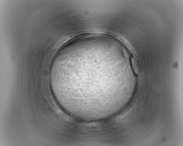 X0000090430433200707272135