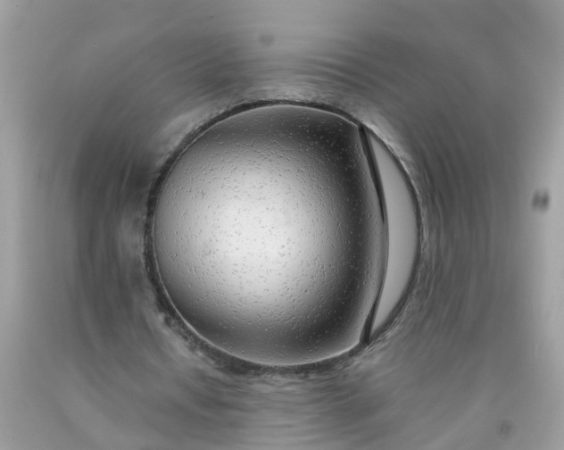 X0000090430434200707272135