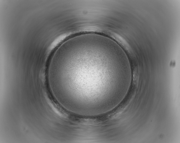 X0000090430436200707272135