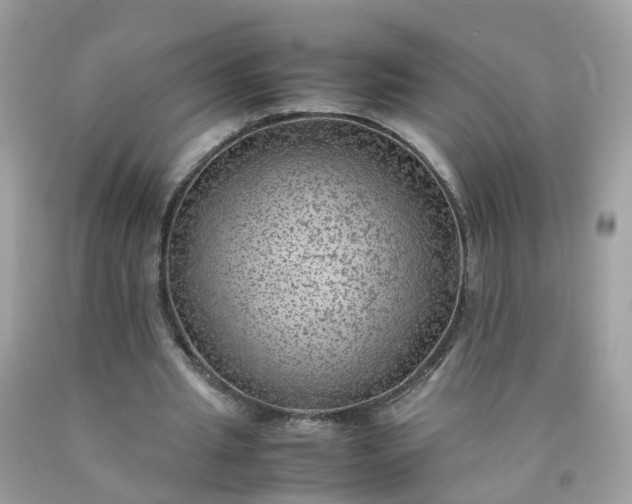 X0000090430437200707272135