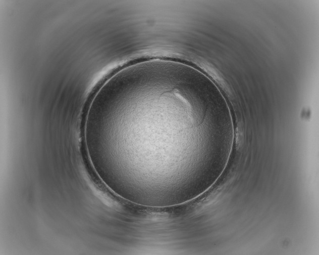 X0000090430438200707272135