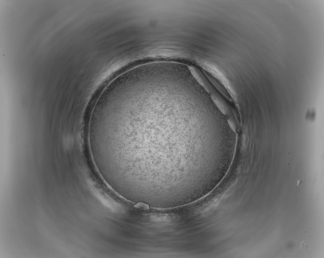 X0000090430439200707272135