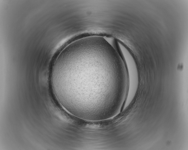 X0000090430440200707272135