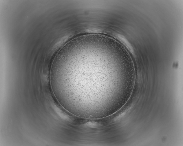 X0000090430441200707272135