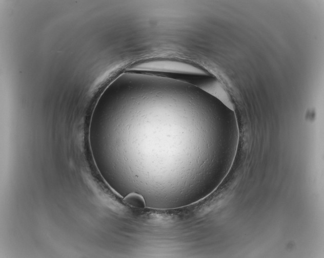 X0000090430442200707272135