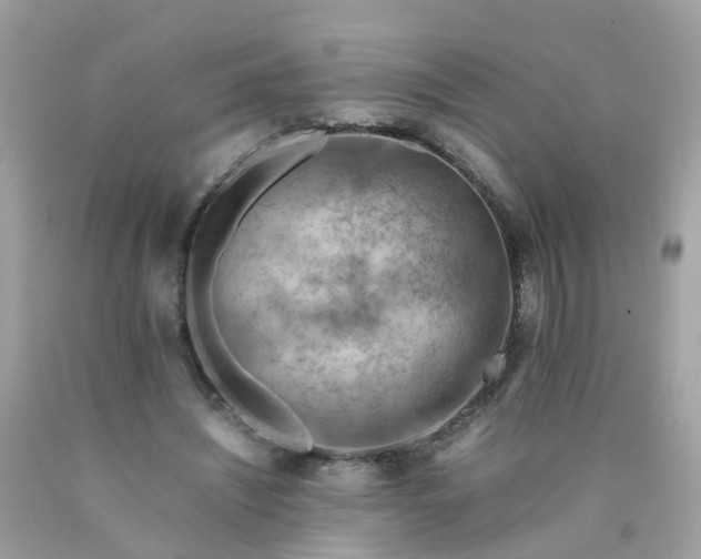 X0000090430444200707272135