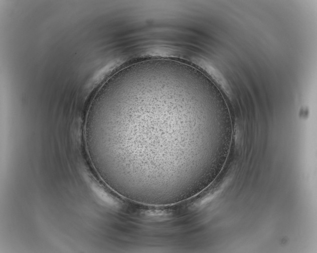 X0000090430445200707272135