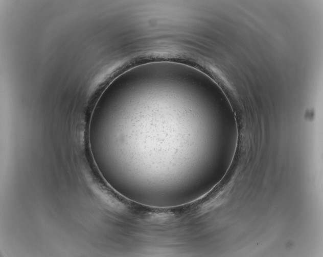 X0000090430446200707272135