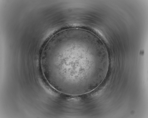 X0000090430447200707272135