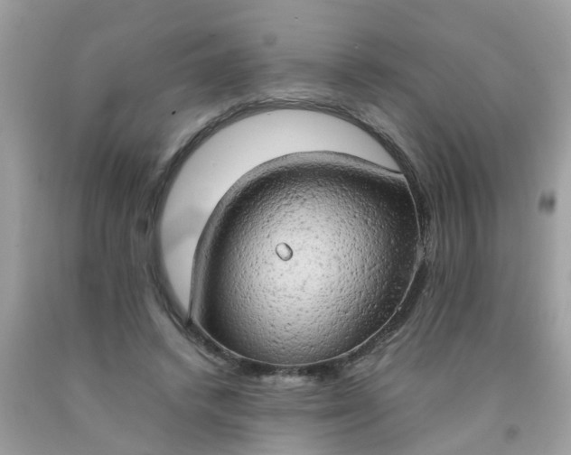 X0000090430448200707272135