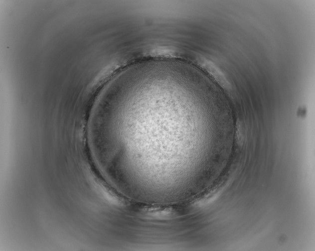 X0000090430449200707272135