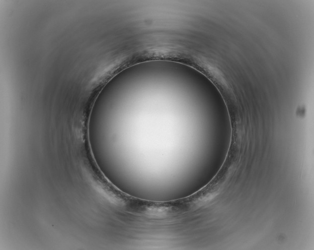 X0000090430450200707272135