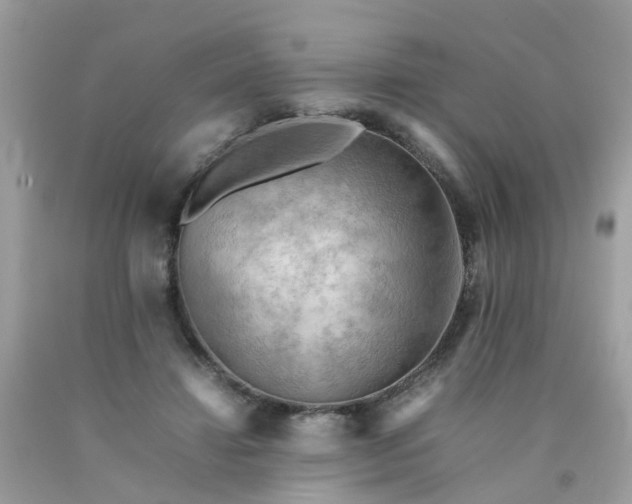 X0000090430452200707272135