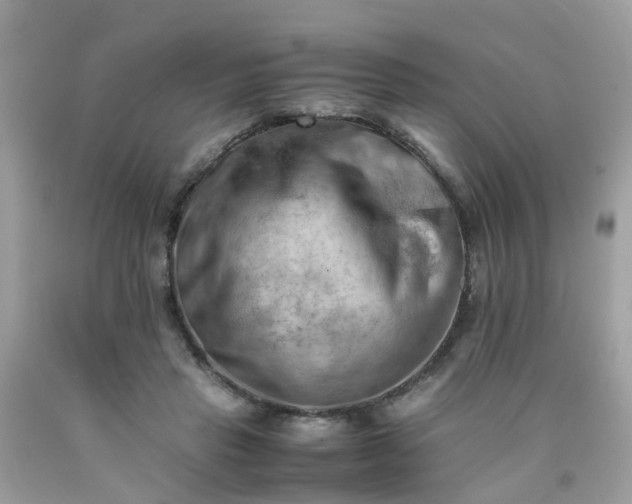 X0000090430453200707272135