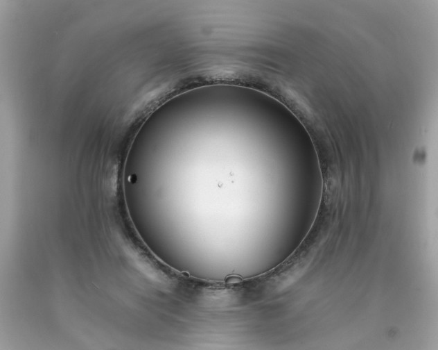 X0000090430454200707272135