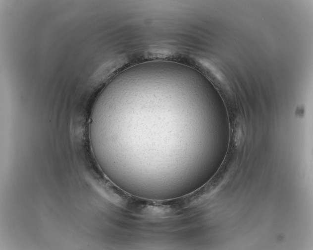 X0000090430455200707272135