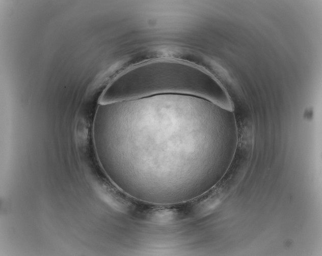 X0000090430456200707272135