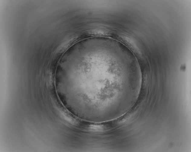 X0000090430457200707272135