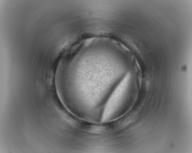 X0000090430458200707272135