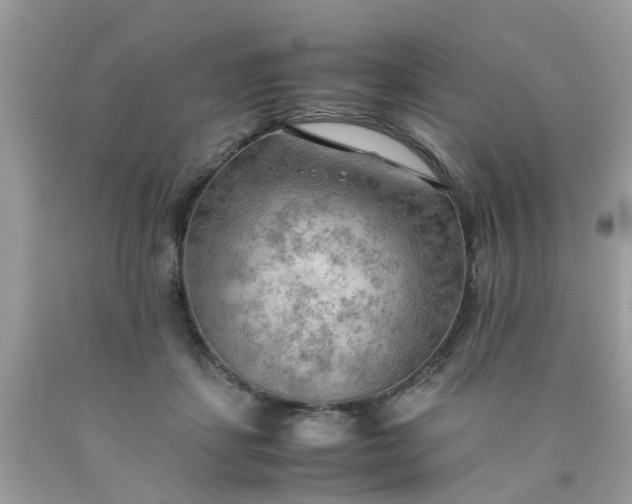 X0000090430459200707272135