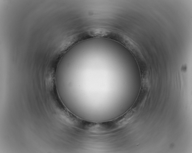 X0000090430460200707272135