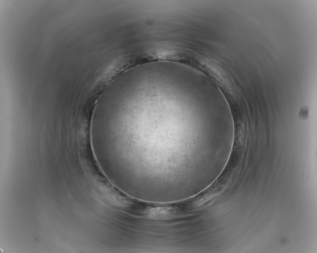 X0000090430461200707272135