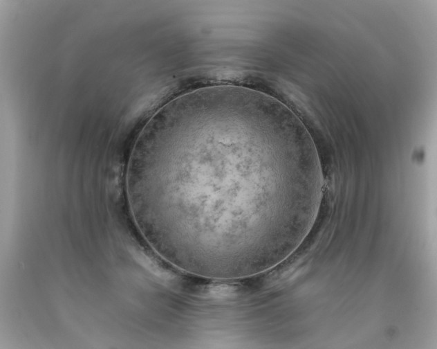 X0000090430462200707272135