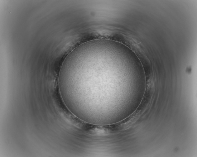 X0000090430464200707272135