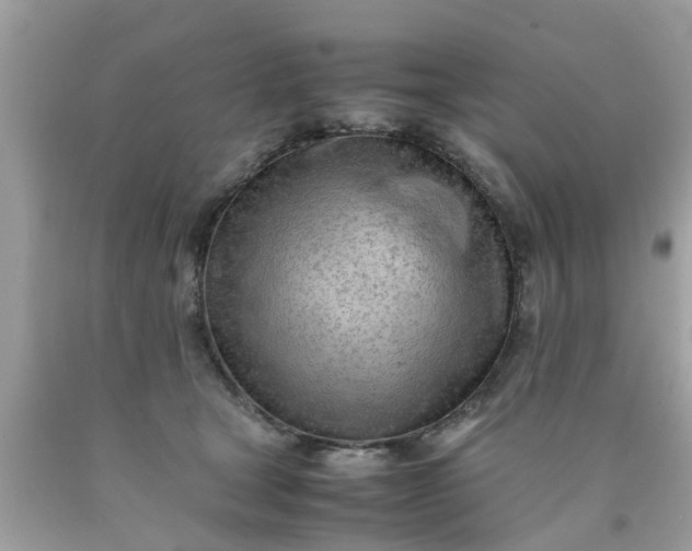 X0000090430465200707272135