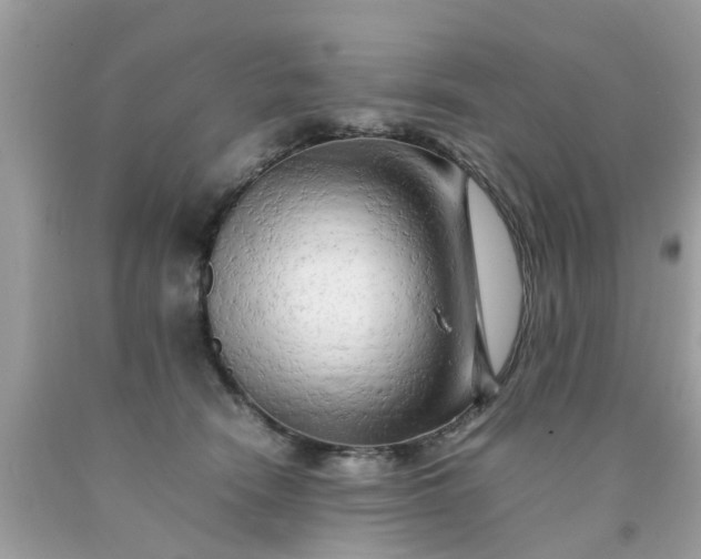 X0000090430466200707272135