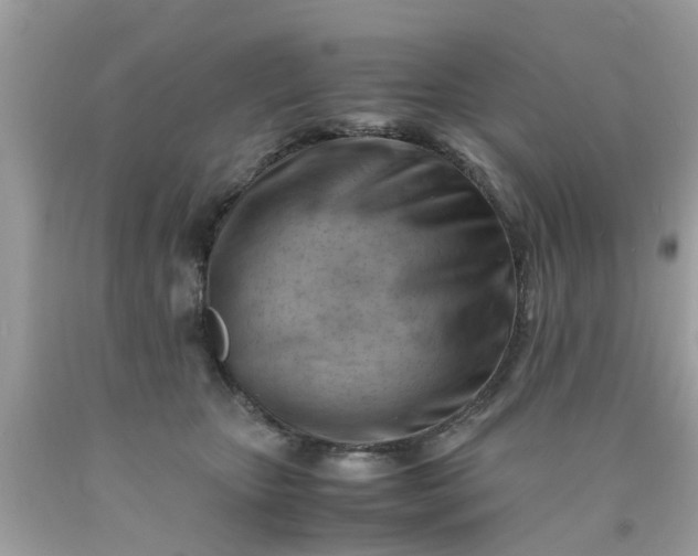 X0000090430467200707272135