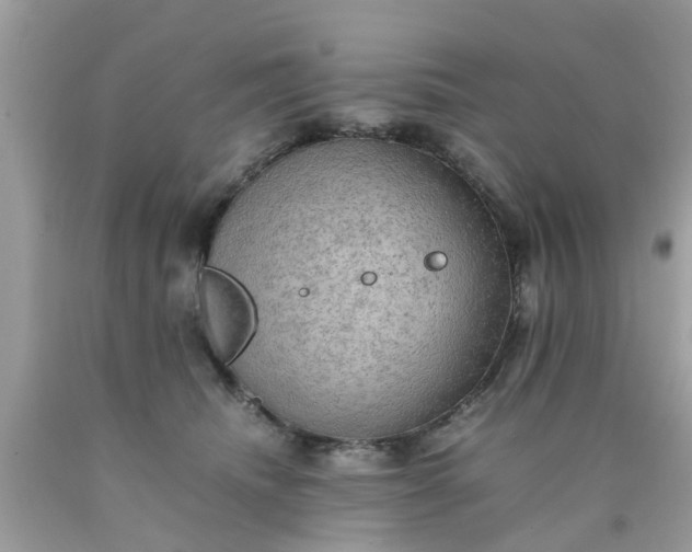 X0000090430468200707272135